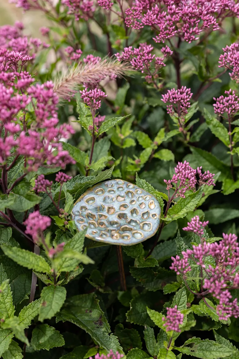 Ceramiczna makówka lotosu wśród kwiatów